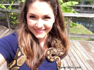 Alligator Adventure: North Myrtle Beach s Top-Rated Reptile Capital of the World