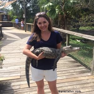 Alligator Adventure: North Myrtle Beach s Top-Rated Reptile Capital of the World