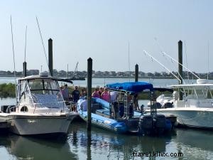 Unforgettable Dolphin Watching with Blue Wave Adventures  Eco-Friendly Cruise in Murrells Inlet
