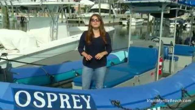 Unforgettable Dolphin Watching with Blue Wave Adventures  Eco-Friendly Cruise in Murrells Inlet