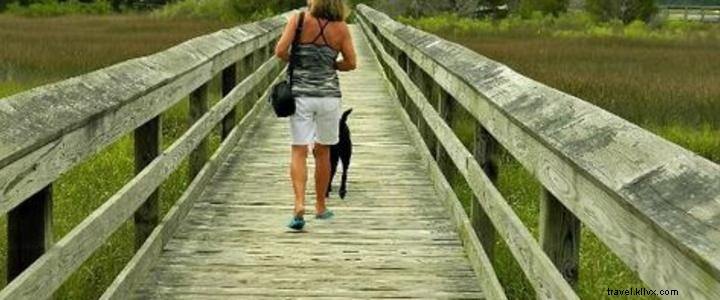Vereen Historical Memorial Gardens: A Premier Free Destination for Nature and History Lovers in Little River, SC
