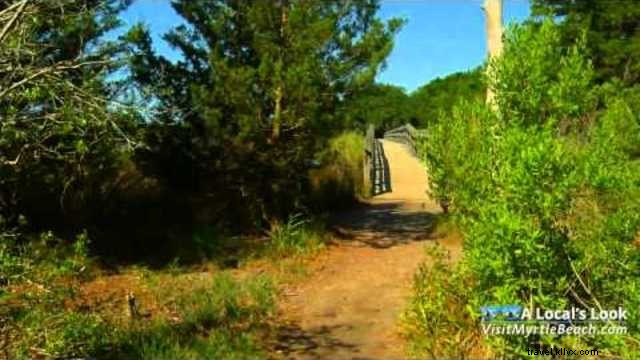 Vereen Historical Memorial Gardens: A Premier Free Destination for Nature and History Lovers in Little River, SC