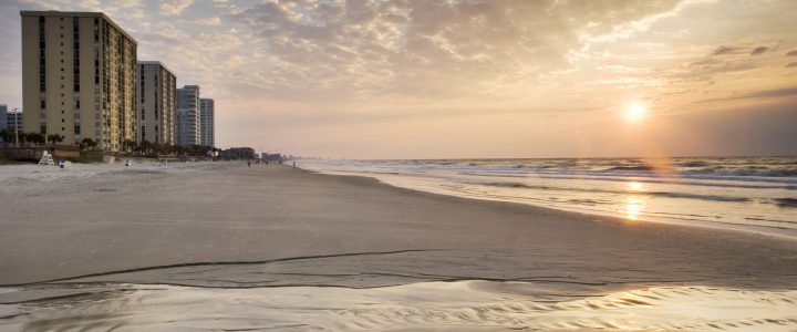 Disability and Special Needs Services in Myrtle Beach: Horry and Georgetown County Programs