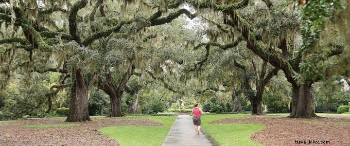Hands-On Culinary Adventures in Myrtle Beach: Foodie Experiences Beyond the Plate