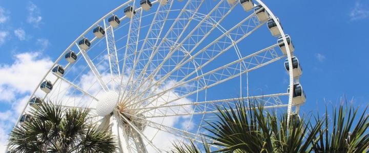 Chicago Tribune: Discover the Surprising Delights of a Myrtle Beach Vacation