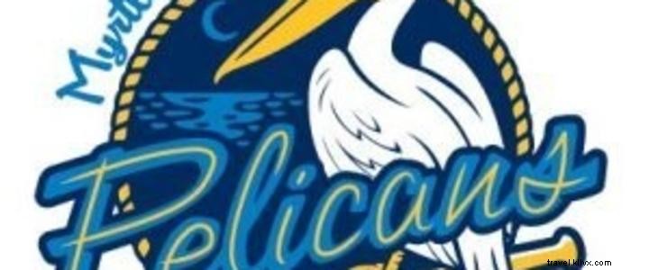 Take Your Baseball Passion to the Beach: Myrtle Beach Pelicans Guide
