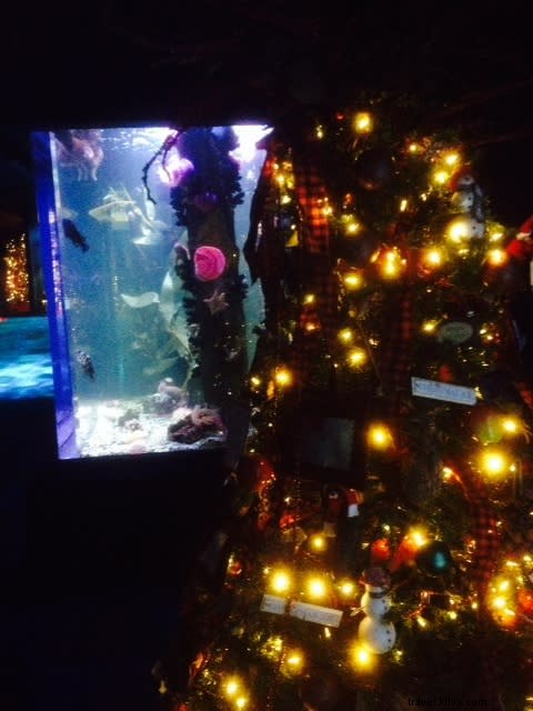 Discover Ripley s Aquarium in Myrtle Beach: Behind-the-Scenes Wonders and Holiday Magic