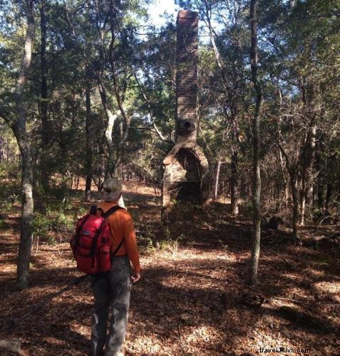 Birdwatching Adventure: Spot Endangered Species on Sandy Island Tours in Georgetown County