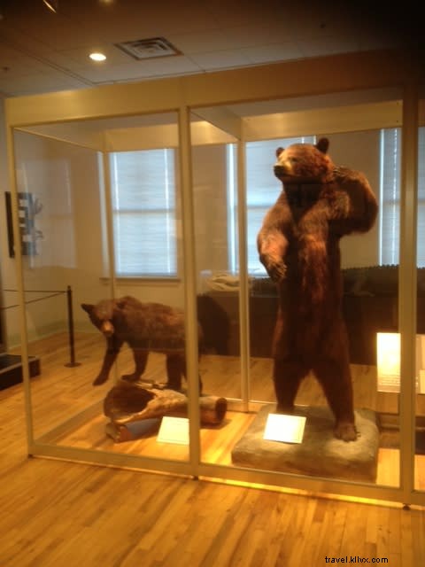 Horry County Museum Reopens in Historic Burroughs School: A Must-See Local Treasure