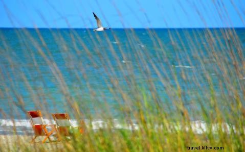 How Visit Myrtle Beach Leverages Google Display Network to Boost Grand Strand Awareness