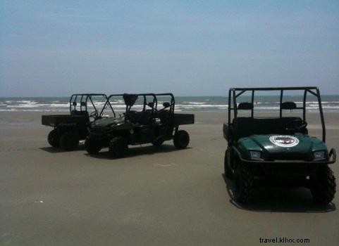 Explore Myrtle Beach s Natural Beauty with Plantation Island Tours