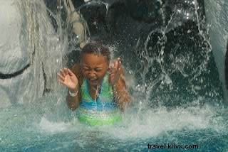 Wild Water & Wheels: Premier Family Water Park on the Grand Strand