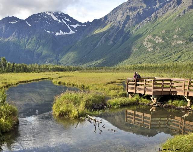 Explore North of Anchorage: 5-Day Itinerary of Scenic Adventures and Cultural Treasures