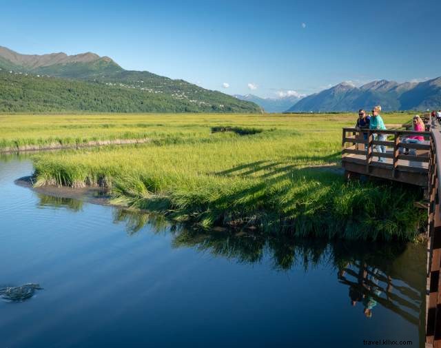 Seward Highway Road Trip: 3-Day Adventure South from Anchorage