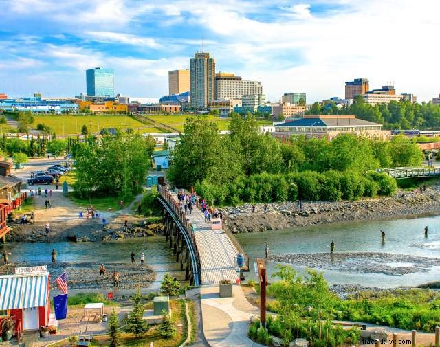 3-Day Wildlife Safari in Anchorage: Spot Moose, Salmon, Bears & Belugas