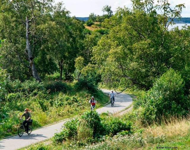 Biking Anchorage: 3-Day Itinerary on Scenic Coastal Trails and Forest Paths