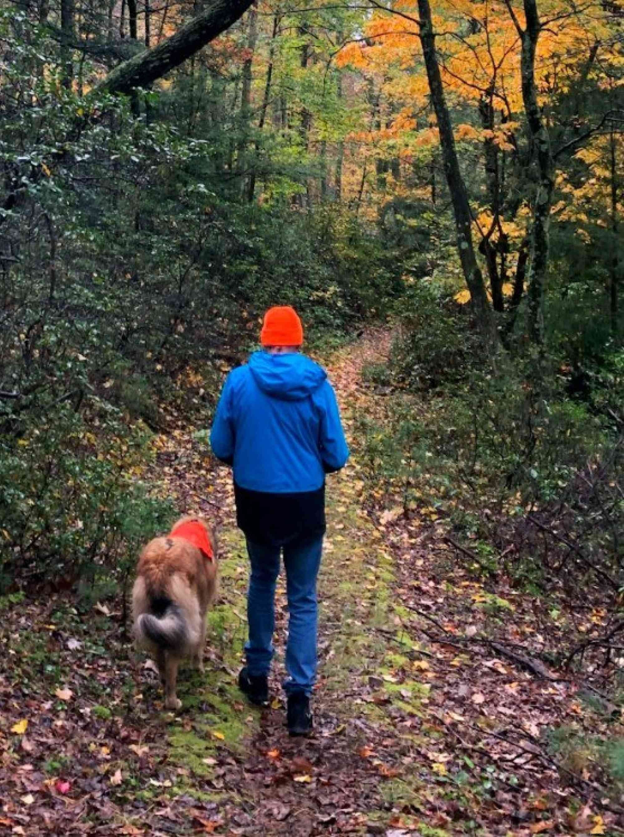 Unlock Happy Valley Adventures: Purple Lizard Maps Founder Mike Hermann Shares Insider Tips