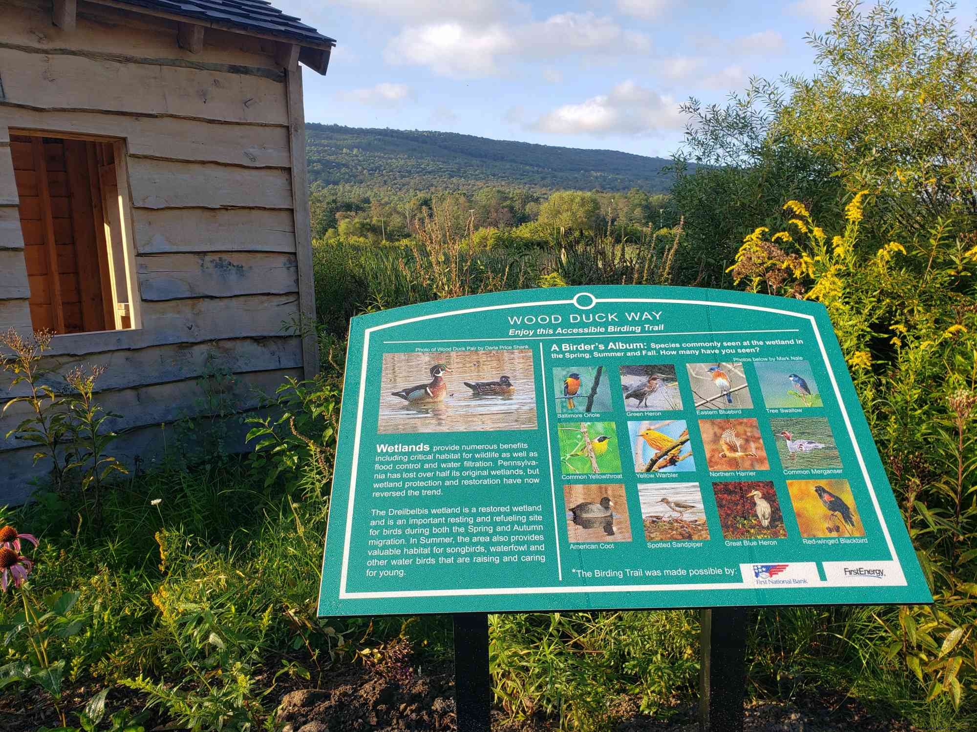 Accessible Birding Haven in Happy Valley, PA: Prime Spot for Fall Migration