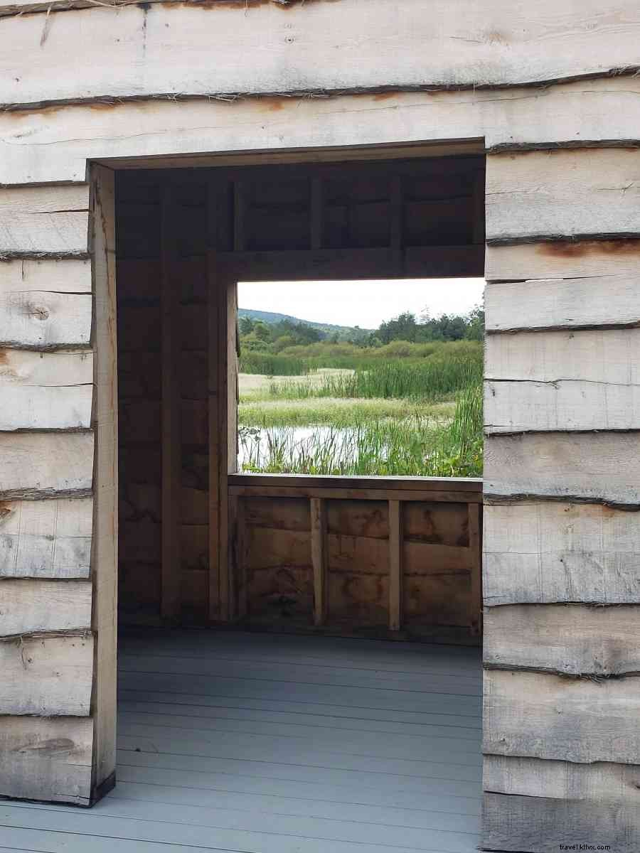 Accessible Birding Haven in Happy Valley, PA: Prime Spot for Fall Migration