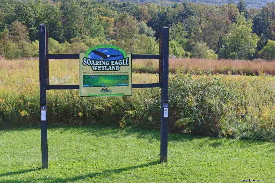 Accessible Birding Haven in Happy Valley, PA: Prime Spot for Fall Migration