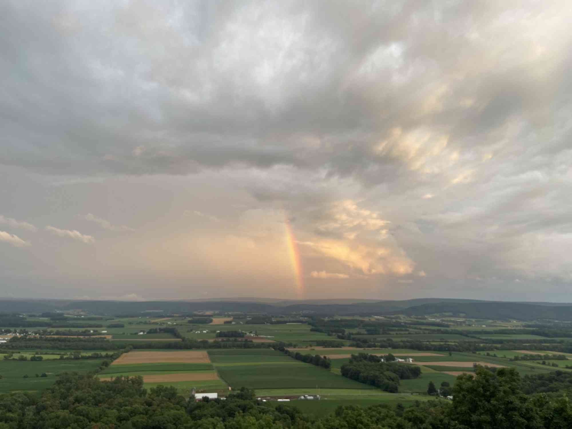 Dine Like a Local in Happy Valley: Top Fine Dining Spots Recommended by Residents