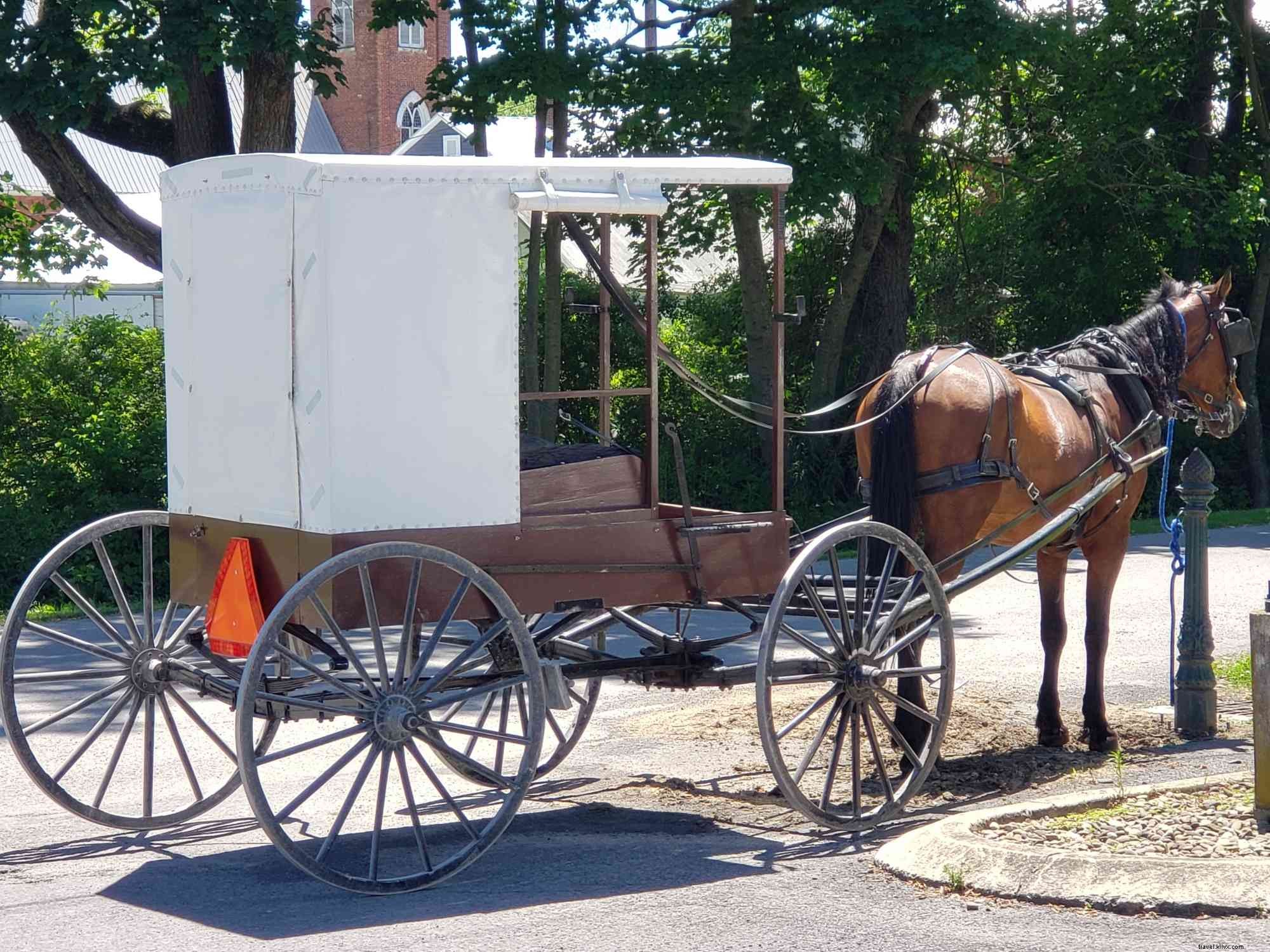 New to Penn State? Discover Fun Ways to Explore Happy Valley, PA