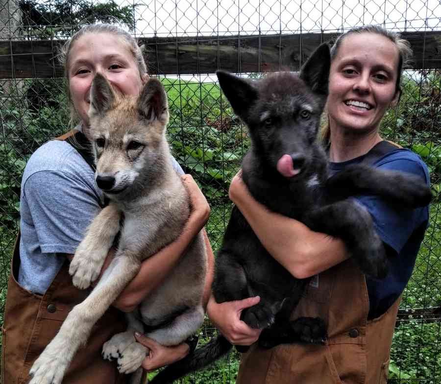 New to Penn State? Discover Fun Ways to Explore Happy Valley, PA