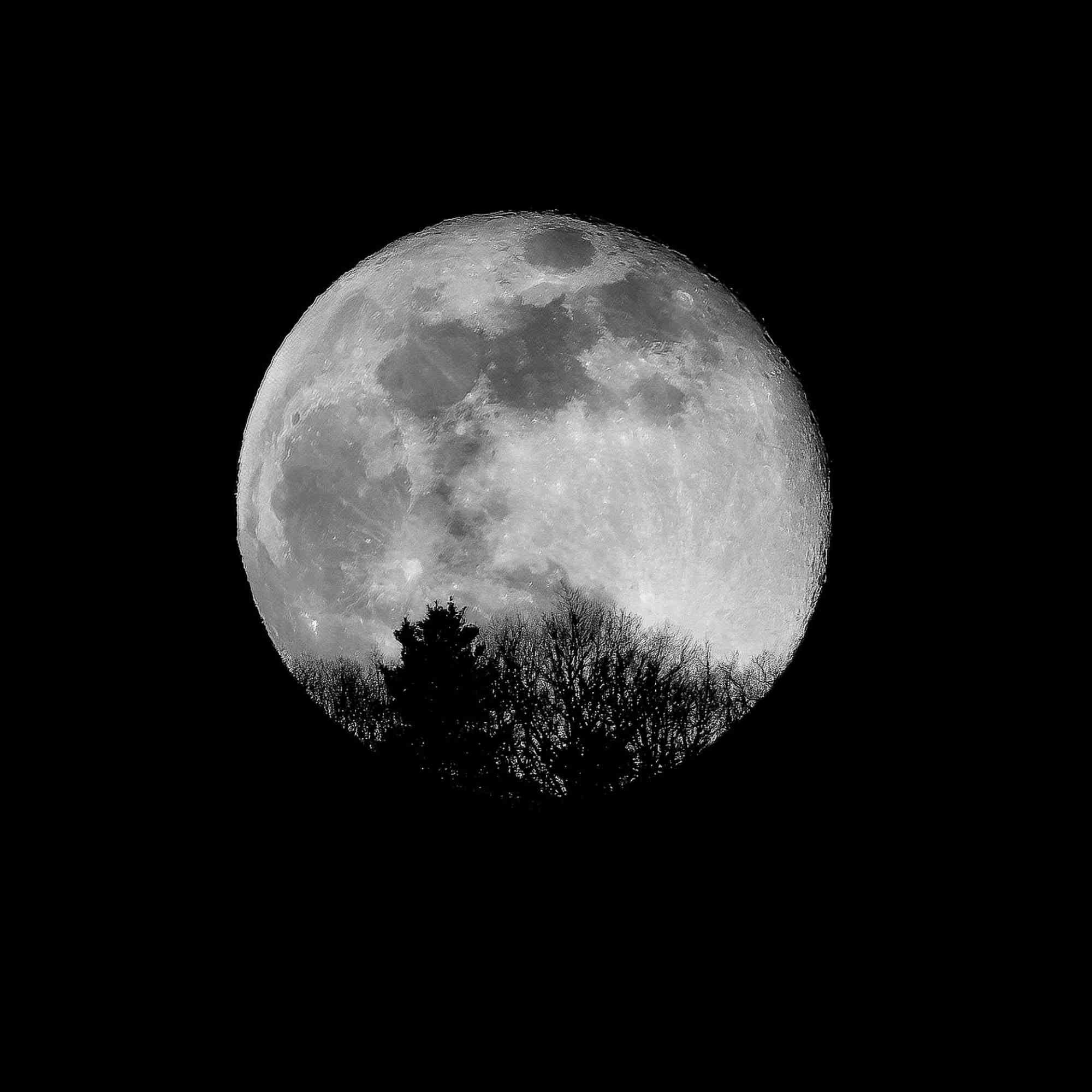 Explore the 2021 Central Pennsylvania Festival of the Arts Online Images Exhibition Gallery