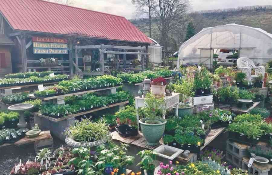 Local Recommendations: Top Spots for Fresh, Farm-Fresh Food in Happy Valley, PA