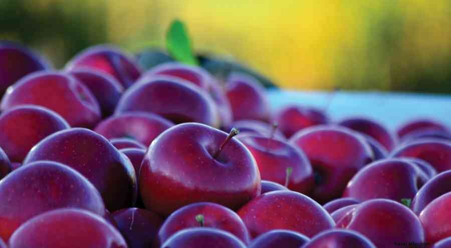 Local Recommendations: Top Spots for Fresh, Farm-Fresh Food in Happy Valley, PA