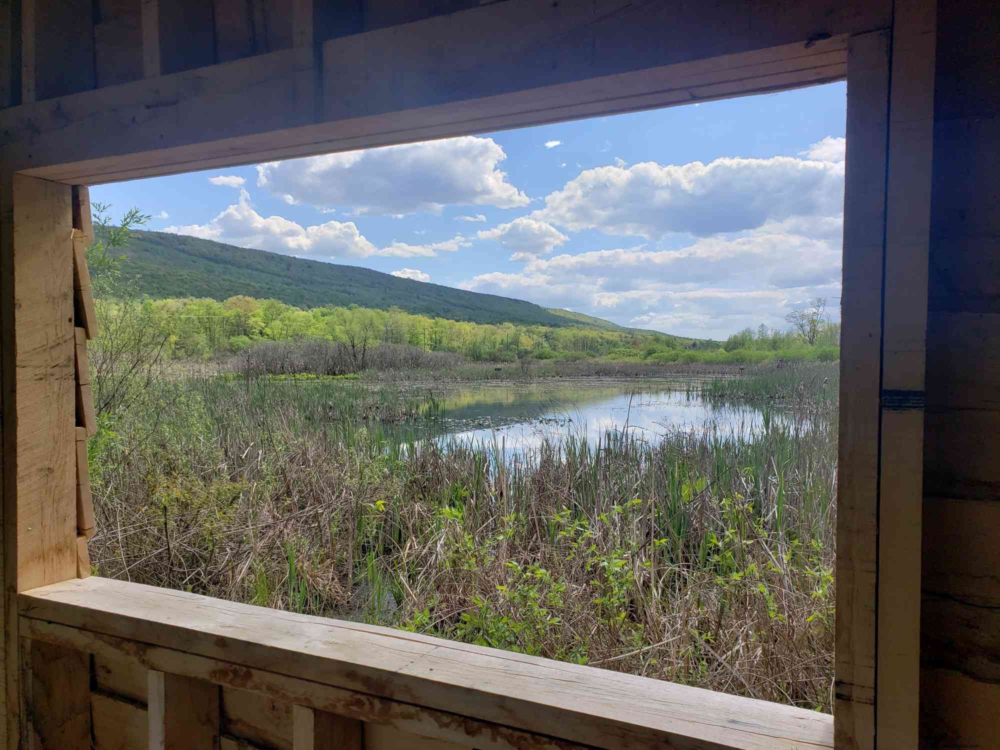 Spend a Day in Beautiful Bald Eagle Valley, Happy Valley, PA