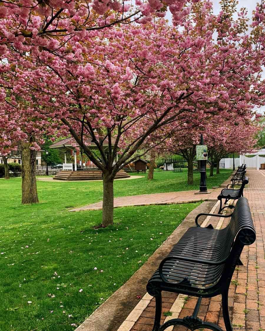 Live Music, Outdoor Dining & Sidewalk Sales: Friday in the  Fonte Returns May 28th in Bellefonte