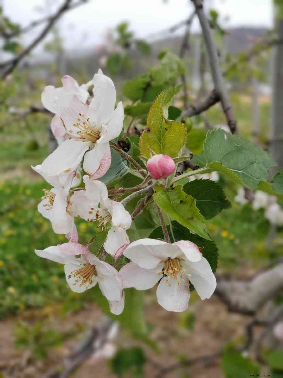 Tips for an  Agventurous  Mother s Day Weekend in Happy Valley, PA