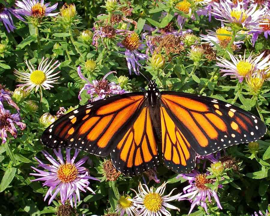 Tips for an  Agventurous  Mother s Day Weekend in Happy Valley, PA