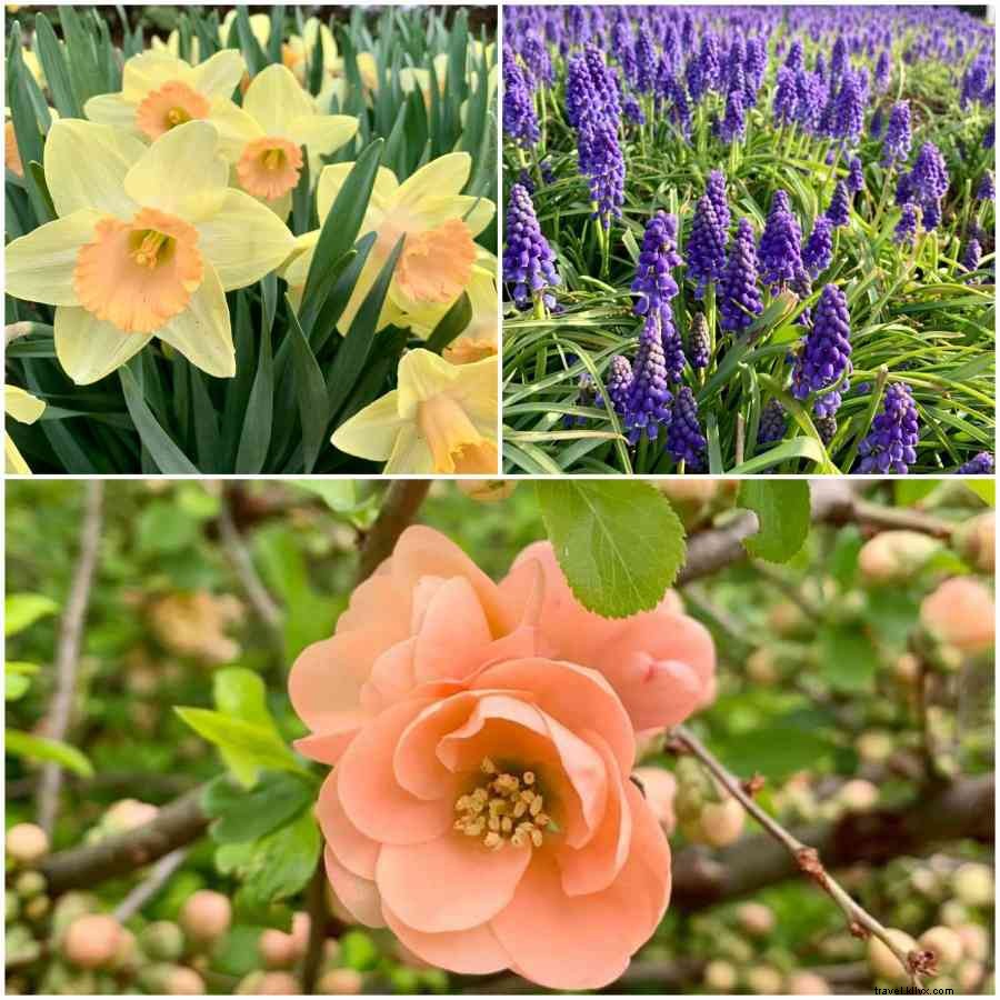 Tips for an  Agventurous  Mother s Day Weekend in Happy Valley, PA