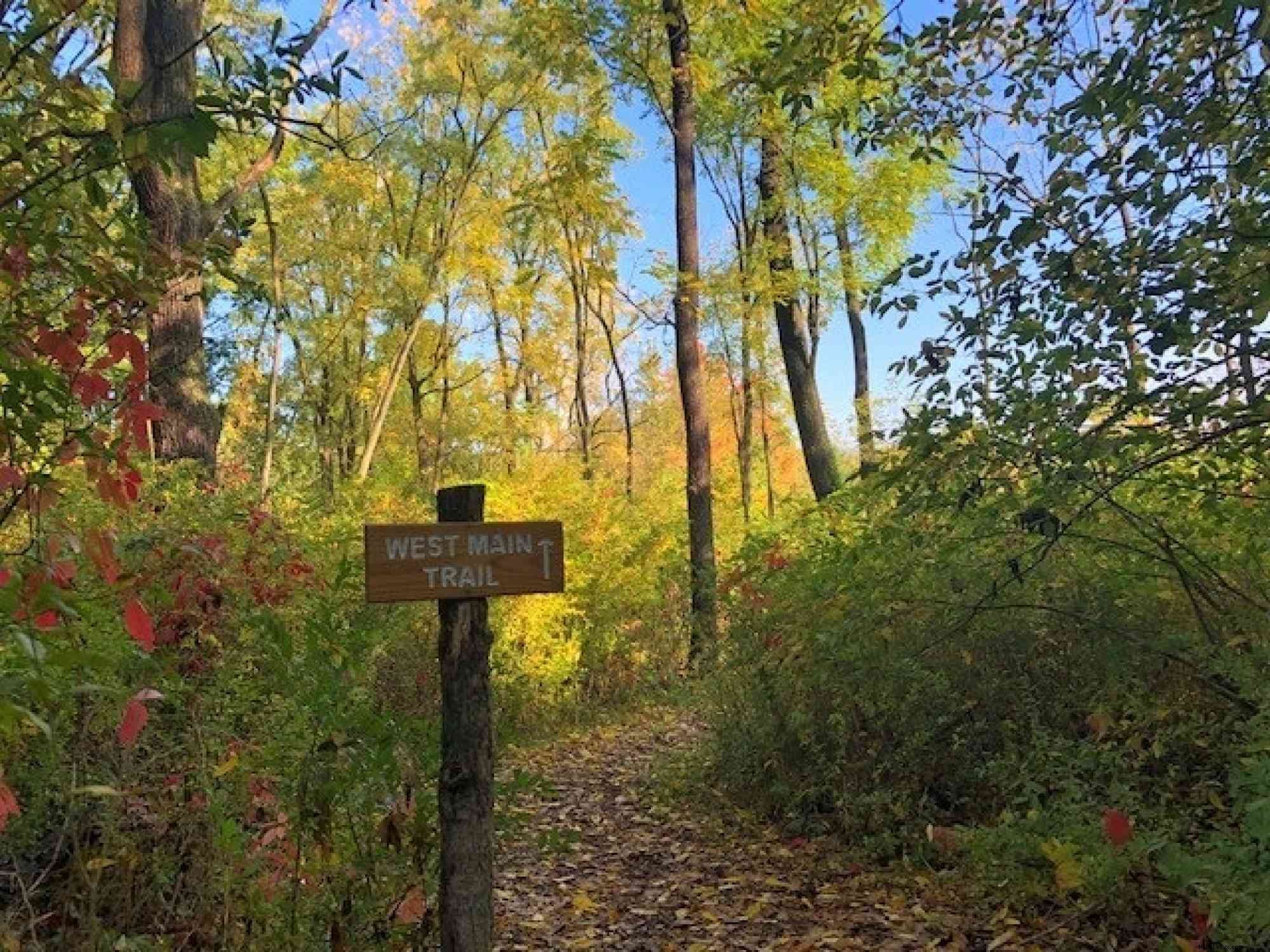 Spend the Day Exploring History and Nature at Columbus Chapel & Boal Mansion Museum