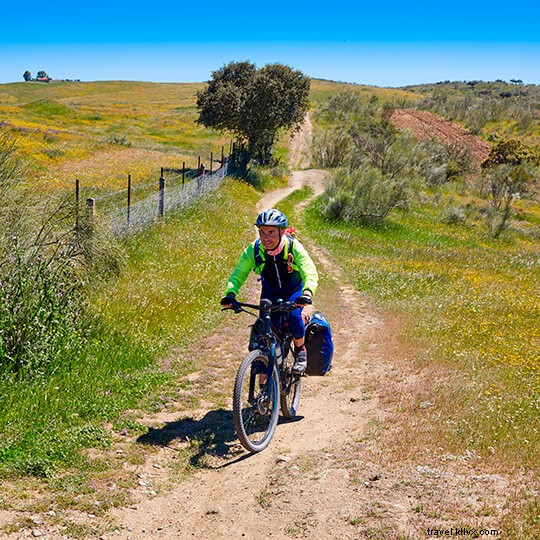 4 Unforgettable Group Experiences in Spain: Beyond the Beach