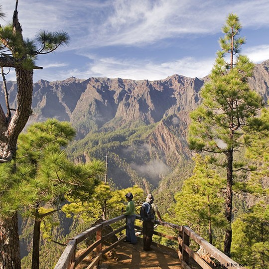 Top Hiking Trails in the Canary Islands: Spain s Volcanic Wonders