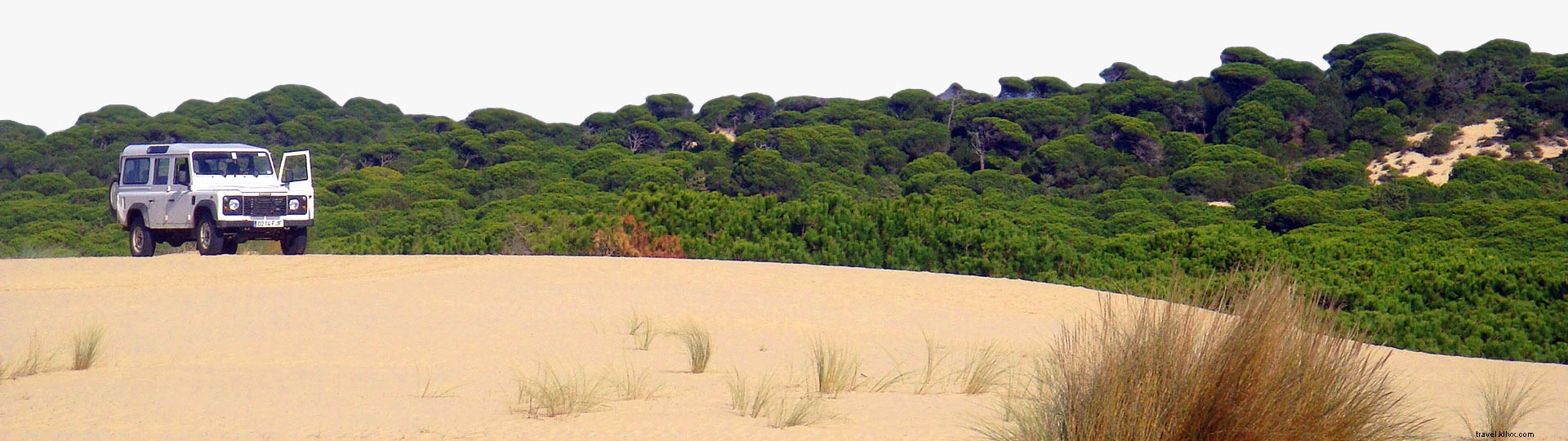 Ultimate Multi-Adventure Guide: Thrilling Activities in Spain s Natural Wonders