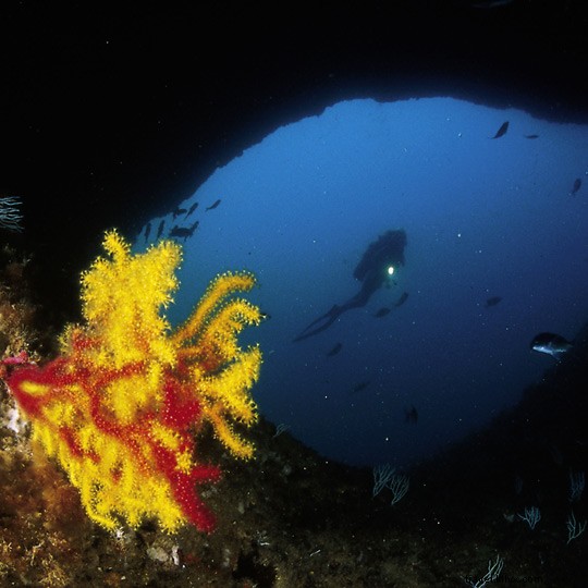 Ultimate Guide to Scuba Diving in Spain: Top Sites, Requirements & Expert Tips