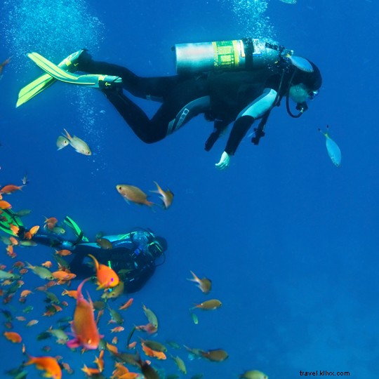 Ultimate Guide to Scuba Diving in Spain: Top Sites, Requirements & Expert Tips