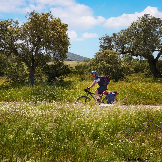 Cycling the Silver Route: Epic Vía de la Plata Bike Adventure from Seville to Santiago