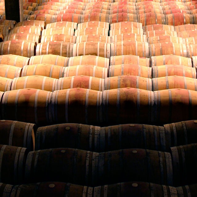 Unmissable Wine Experiences in La Rioja: Balloon Rides, Tapas, and Michelin Dining