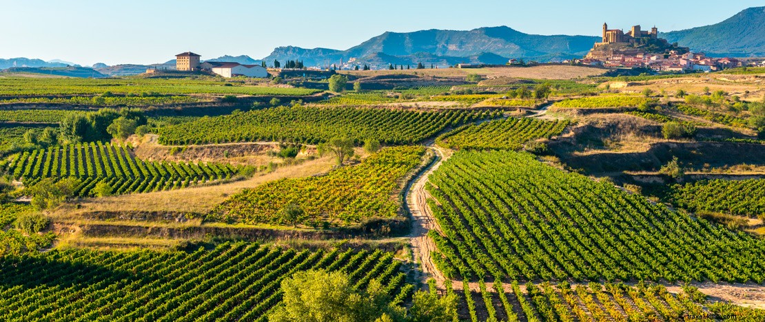 Explore Spain s Premier Wine Regions: La Rioja, Priorat, Ribera del Duero, and La Mancha