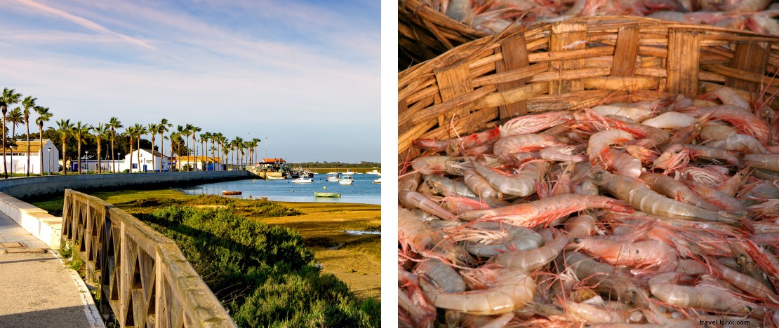 5 Stunning Seaside Towns in Spain: Indulge in Authentic Local Seafood Cuisine