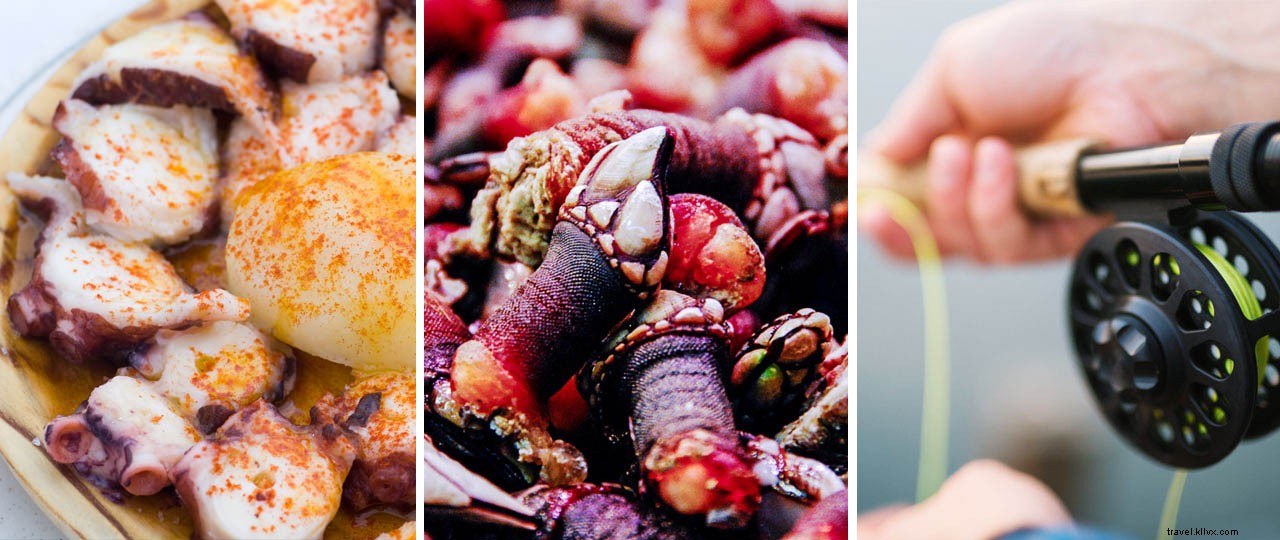 Unmissable Culinary Experiences in Galicia: Food Journeys Worth the Trip