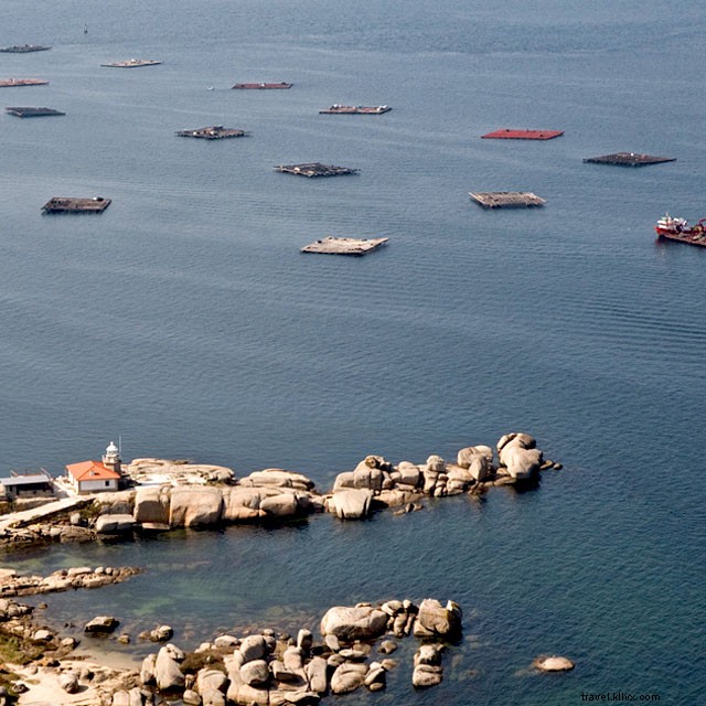 Unmissable Culinary Experiences in Galicia: Food Journeys Worth the Trip