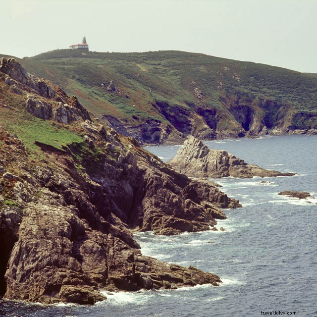 Unmissable Culinary Experiences in Galicia: Food Journeys Worth the Trip