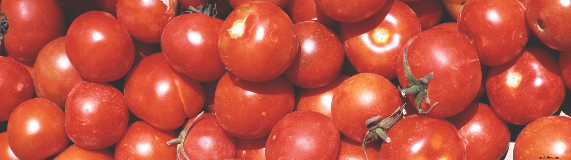 Organic Farming in Ibiza: Savor Fresh Produce, Markets, and Sustainable Wines