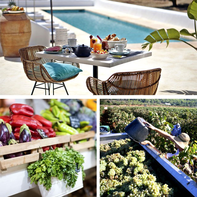 Organic Farming in Ibiza: Savor Fresh Produce, Markets, and Sustainable Wines